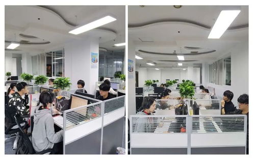 成都市成華區第七次全國人口普查咨詢熱線正式開通，為您提供便捷信息咨詢服務