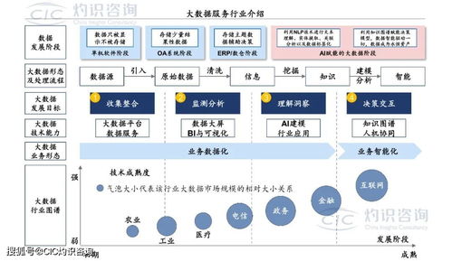 《中國(guó)商業(yè)大數(shù)據(jù)服務(wù)行業(yè)藍(lán)皮書》發(fā)布 洞見(jiàn)未來(lái)，數(shù)據(jù)賦能社會(huì)經(jīng)濟(jì)咨詢新篇章
